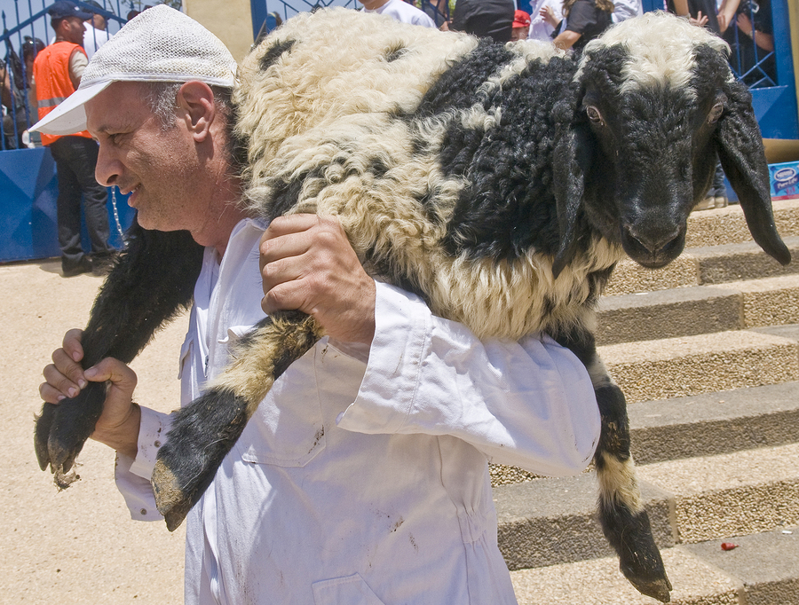 bigstock-Samaritan-Passover-Sacrifice-32729999
